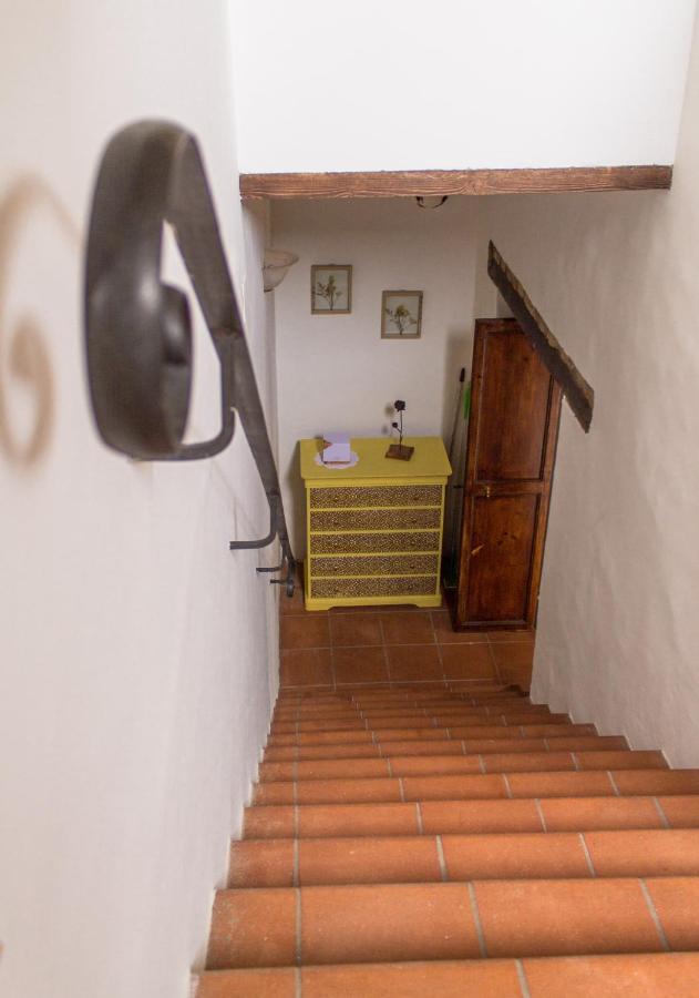 Apartment Palma Gold